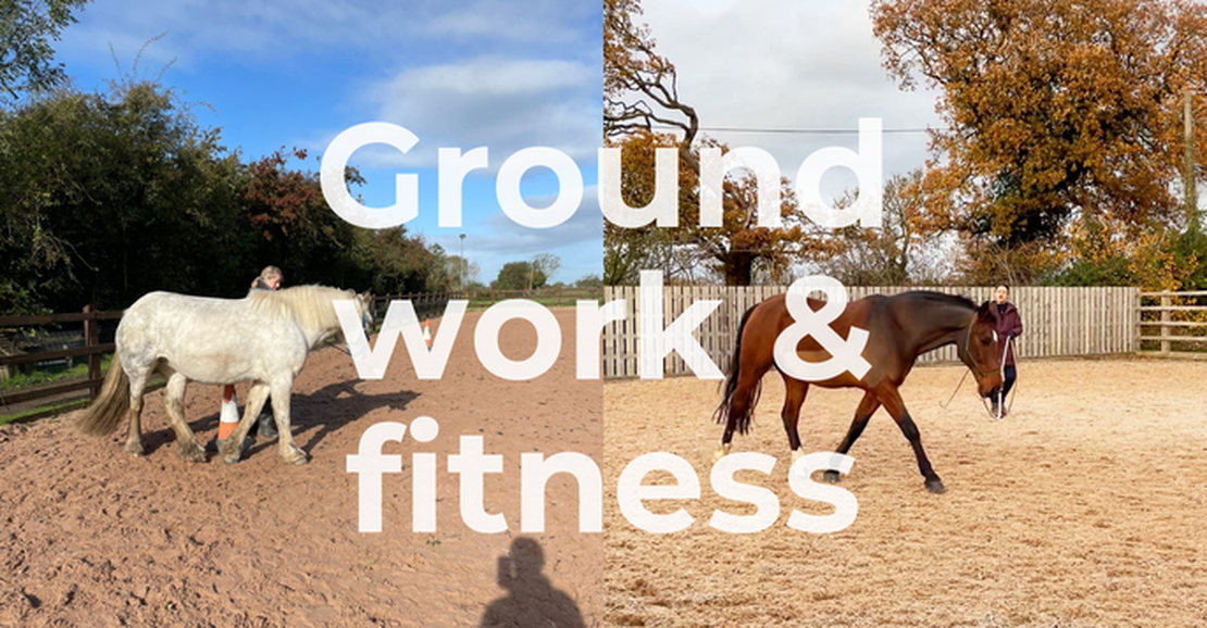 Ground Work & Handling