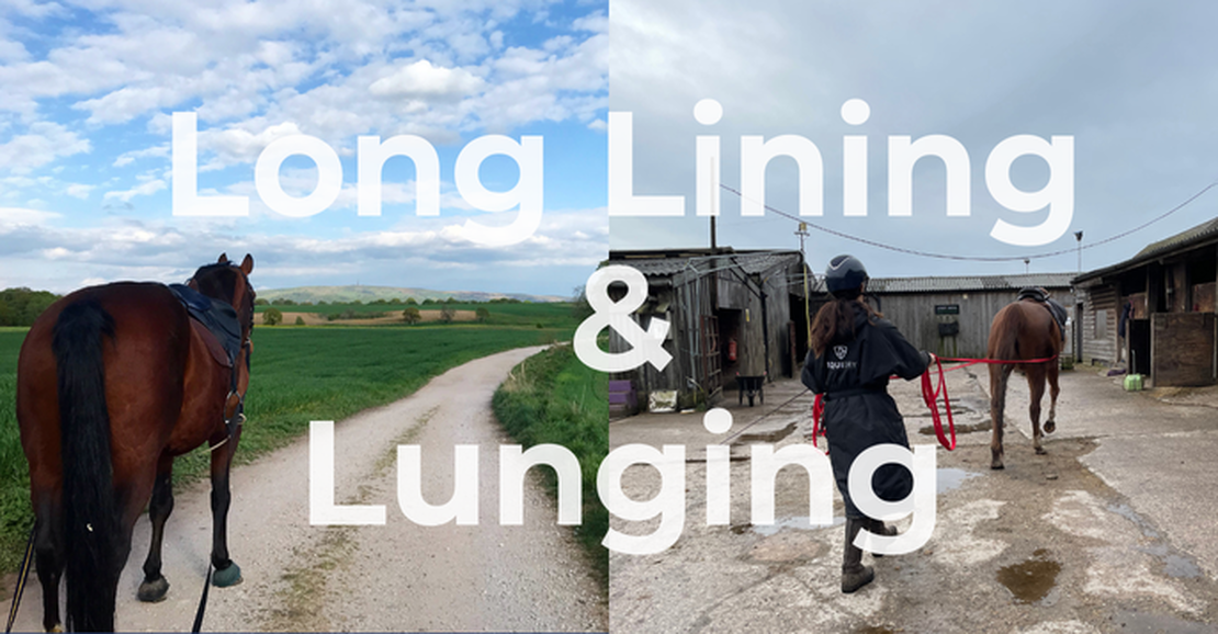 Ground Work & Handling