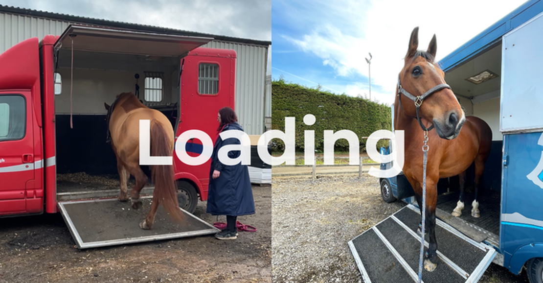 Ground Work & Handling