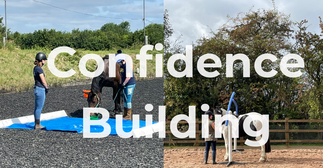 Confidence, Husbandry & Medical Care Support