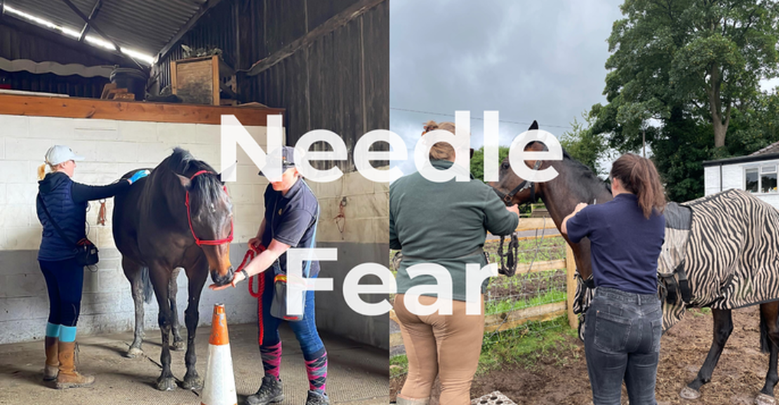 Confidence, Husbandry & Medical Care Support