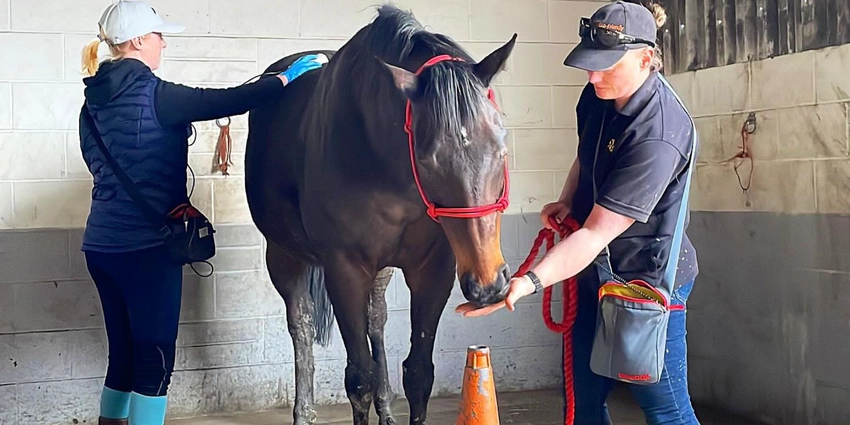 image title alter-text