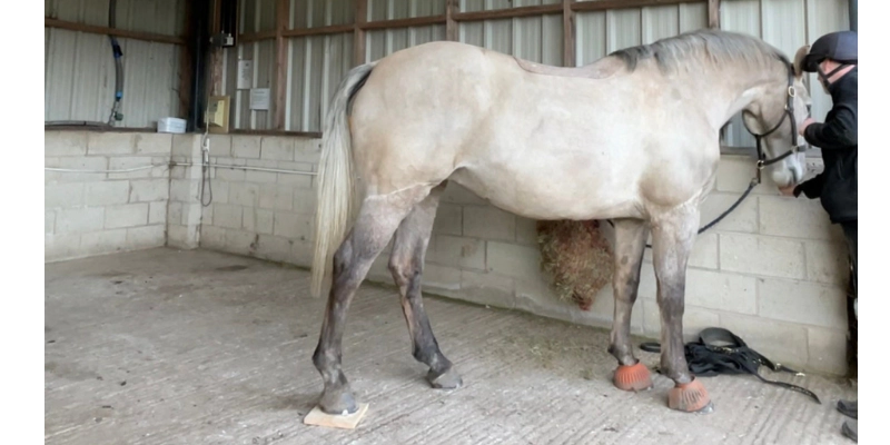 image title alter-text