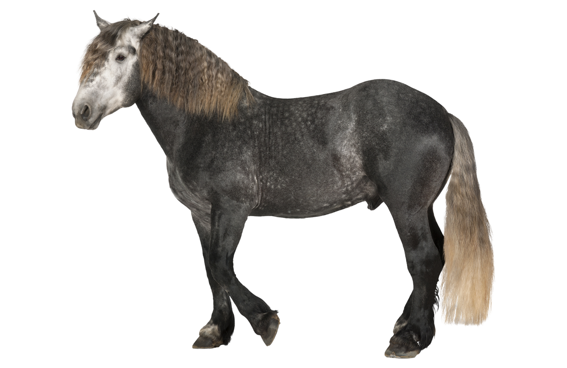 7 Reasons Why It Might Be Lasting Longer Than It Should