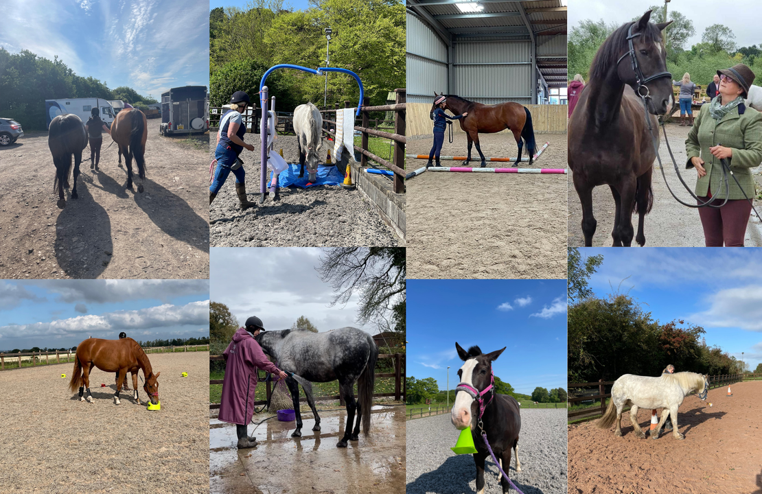 And Much, Much More...