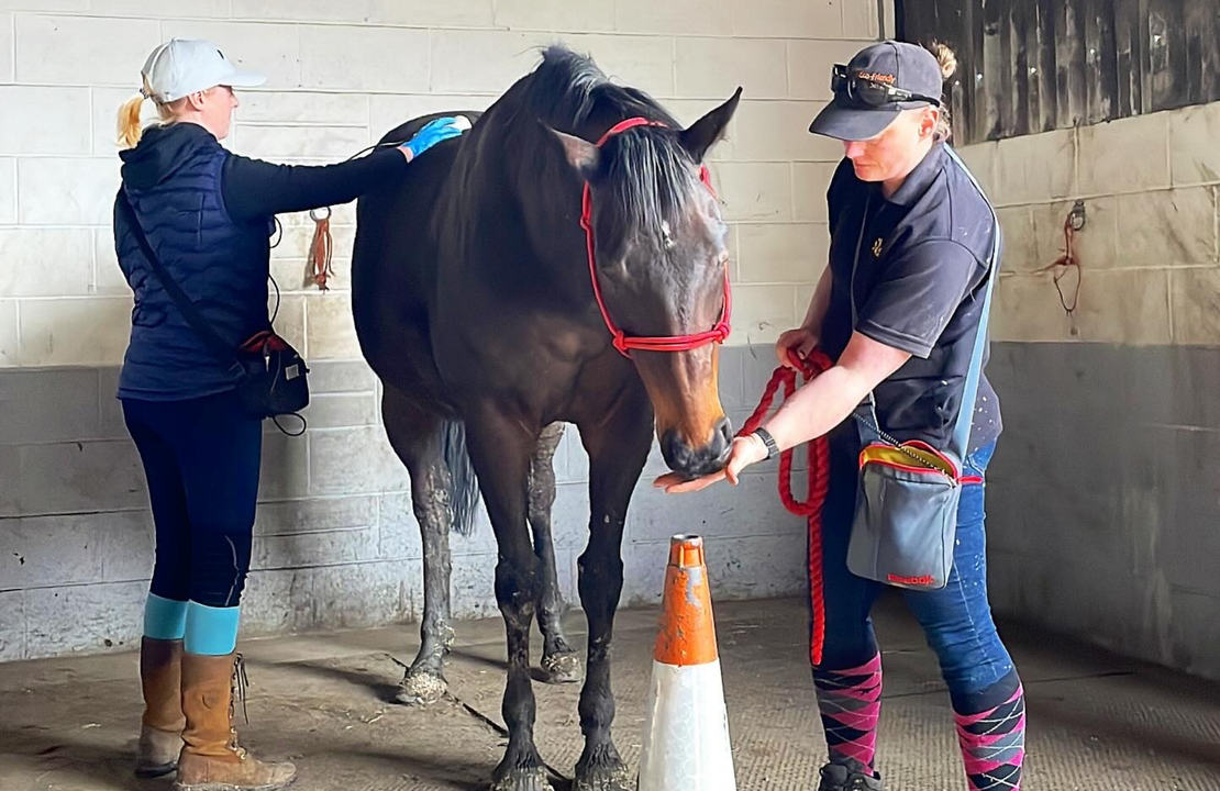 Be The Best Patient Possible.