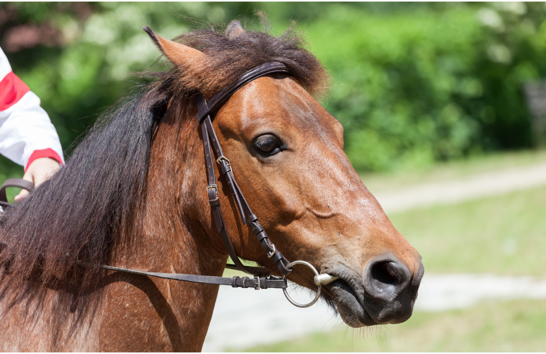 Tension, Resistance, Confusion & Lack of Harmony