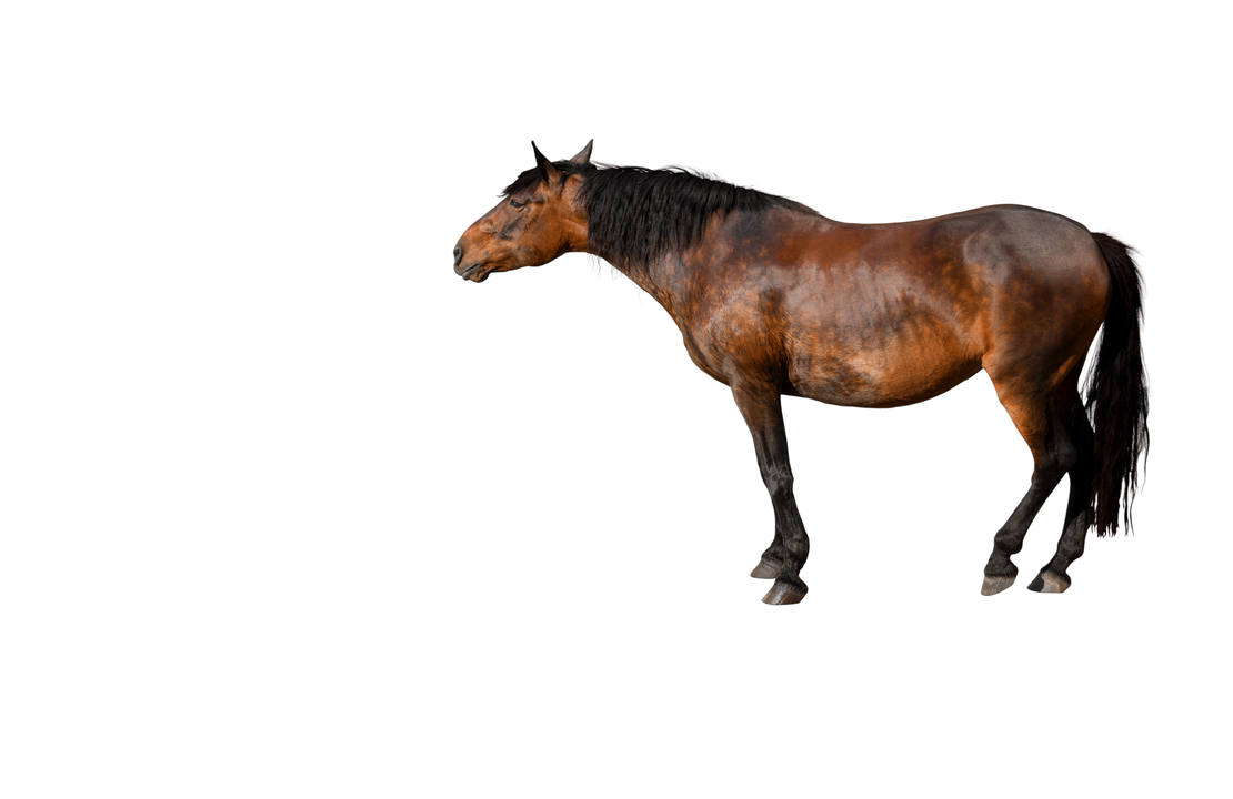 The ‘I’ve Accepted It’ Owner