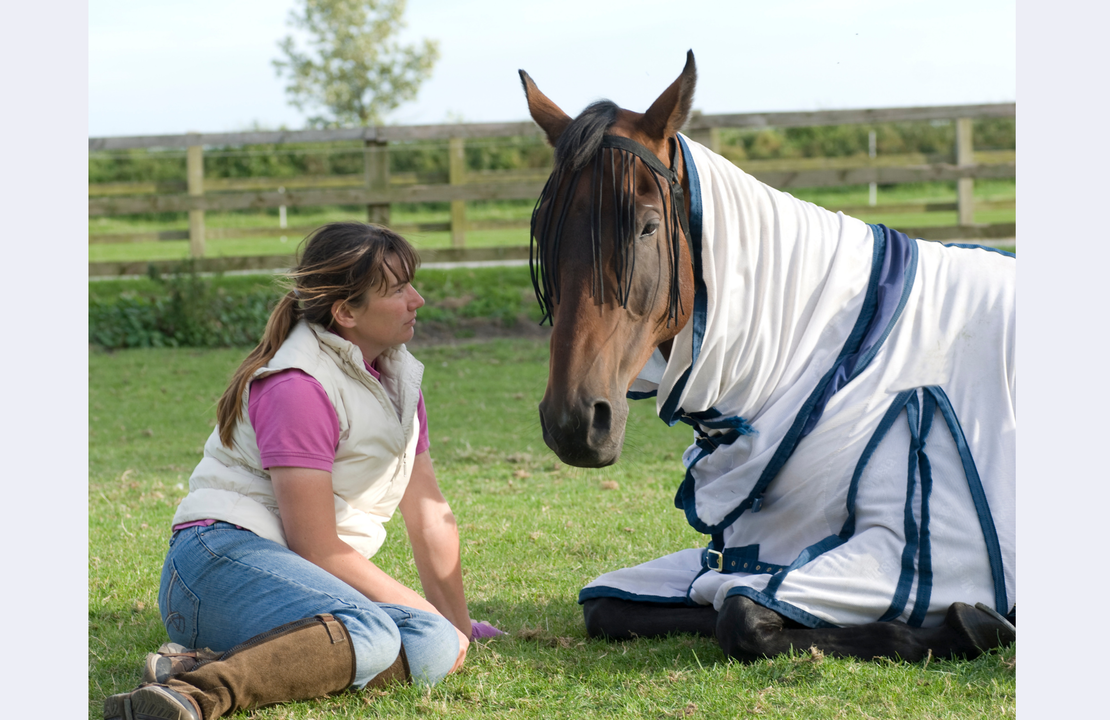 The 'Nervous but Determined' Owner 
