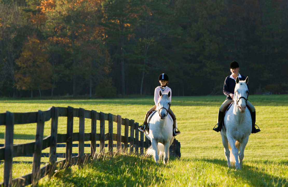 You're Not Alone - And You're Not Failing.